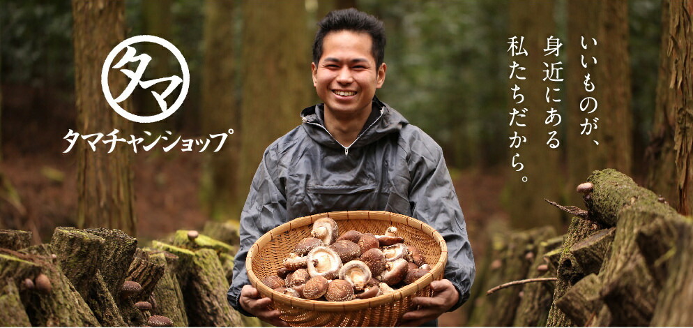 国産原木椎茸（小粒どんこDF120） Image