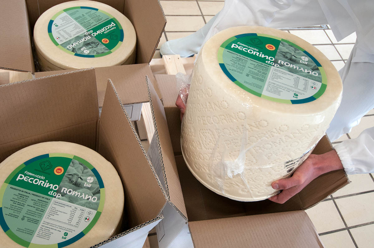 Pecorino Romano PDO   Image