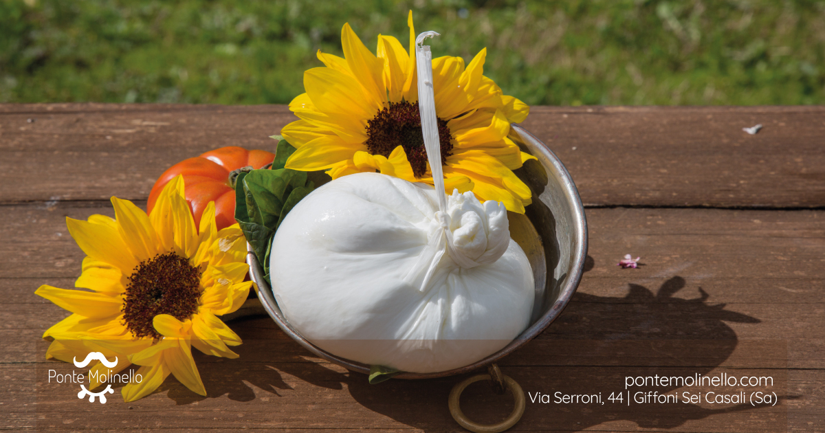 burrata di bufala Image