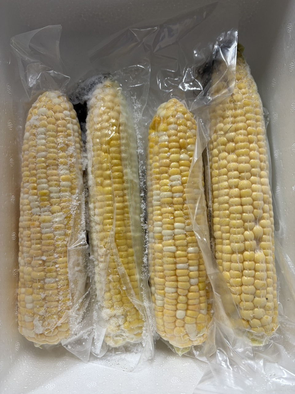 冷凍北海道産とうもろこし イメージ