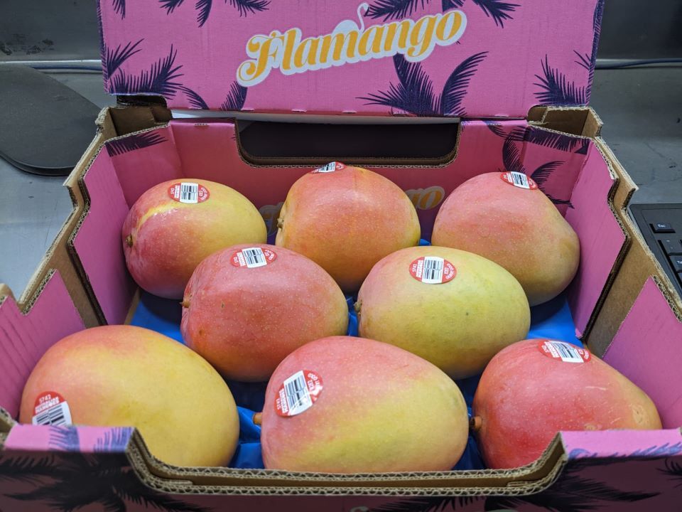 Australian Mangoes (R2 E2, KP) Image