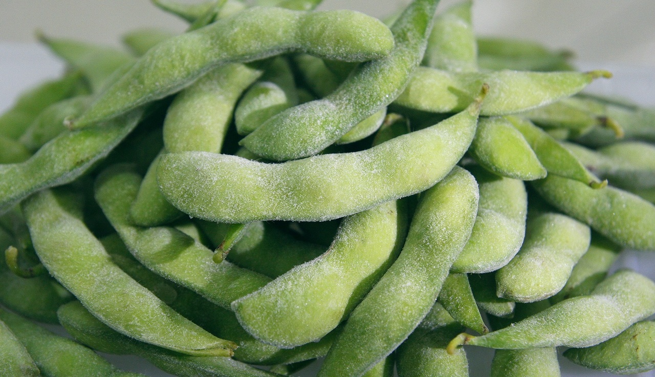 Frozen edamame Image
