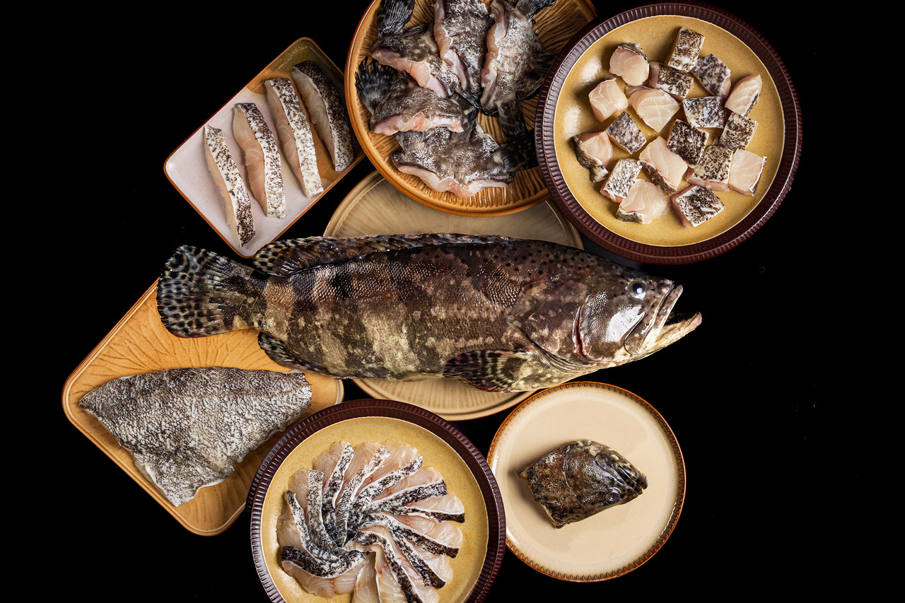 Dragon tiger grouper Image