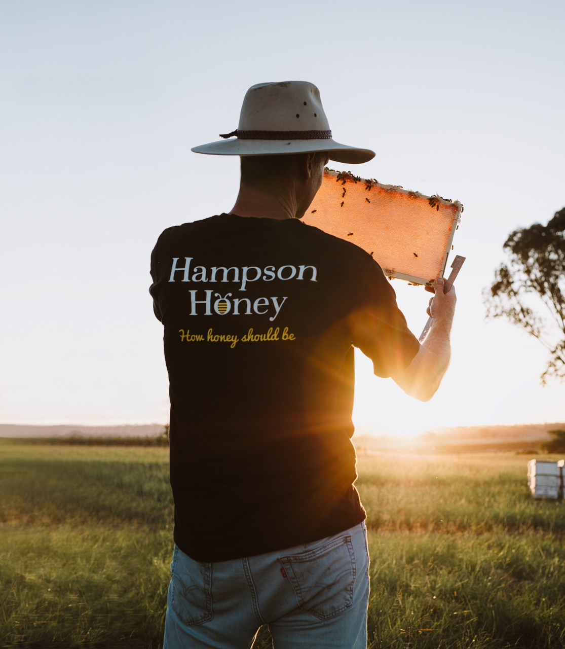 Honey, Honeycomb, Manuka, Raw Honey, Australian Raw Honey  Image