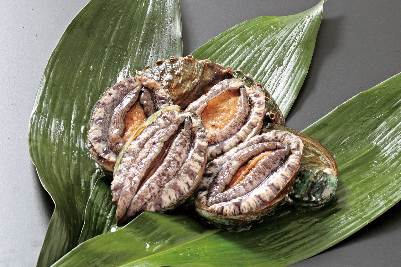 Korean Ezo abalone Image