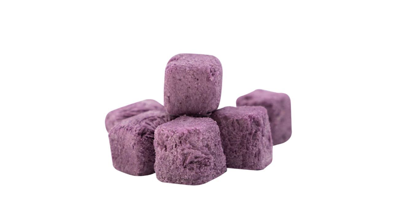 Freeze-Dried Coconut Yogurt Bites Image