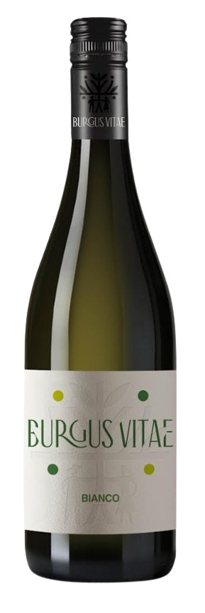 Trebbiano-white wine イメージ