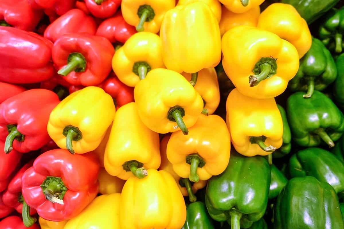 Bell Pepper ( Red, Yellow, Orange, Green) Image