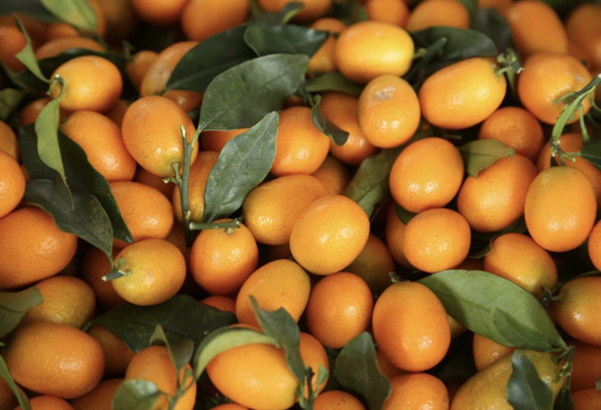 Frozen Kumquat Image