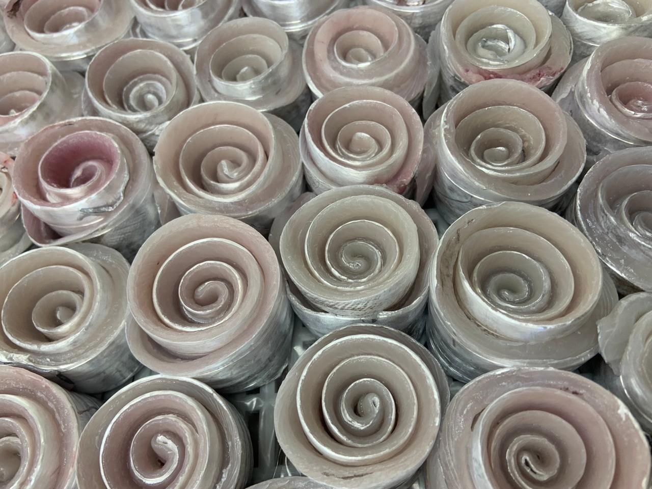 Frozen Beltfish Image