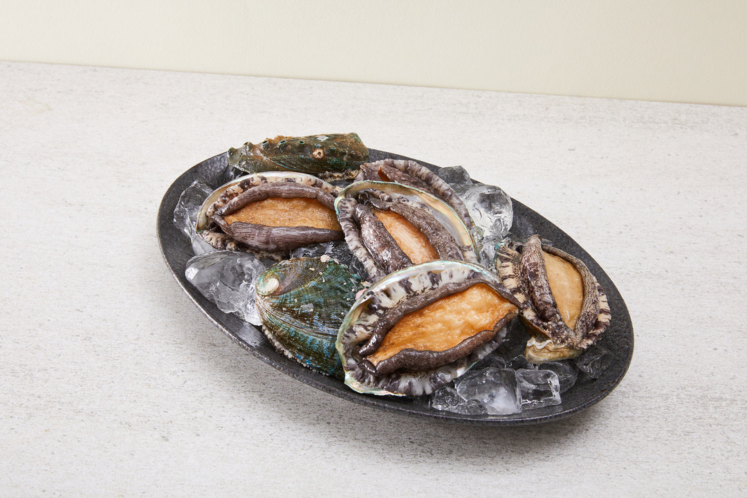 Frozen Live Abalone Image