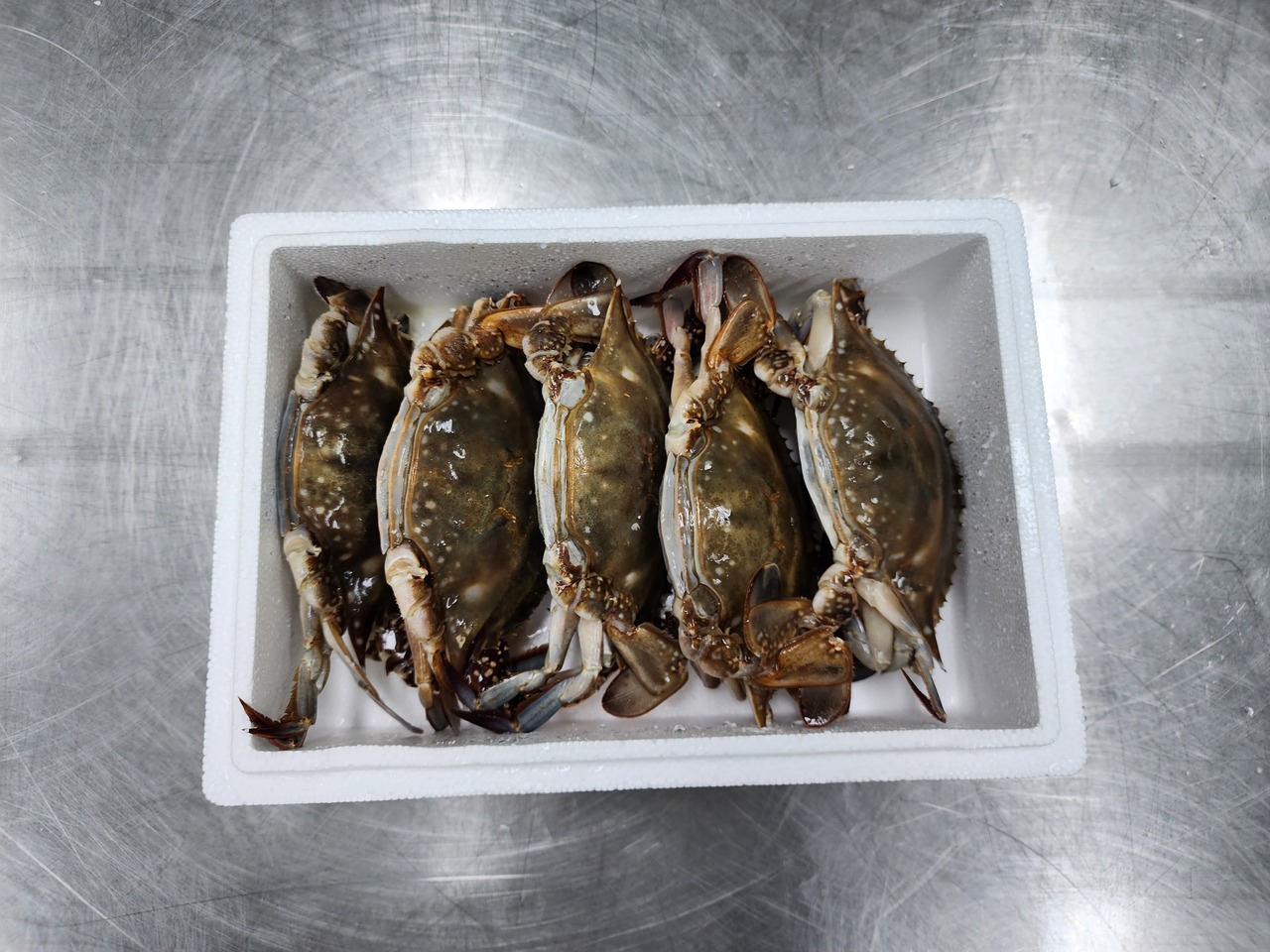 Frozen blue crab Image