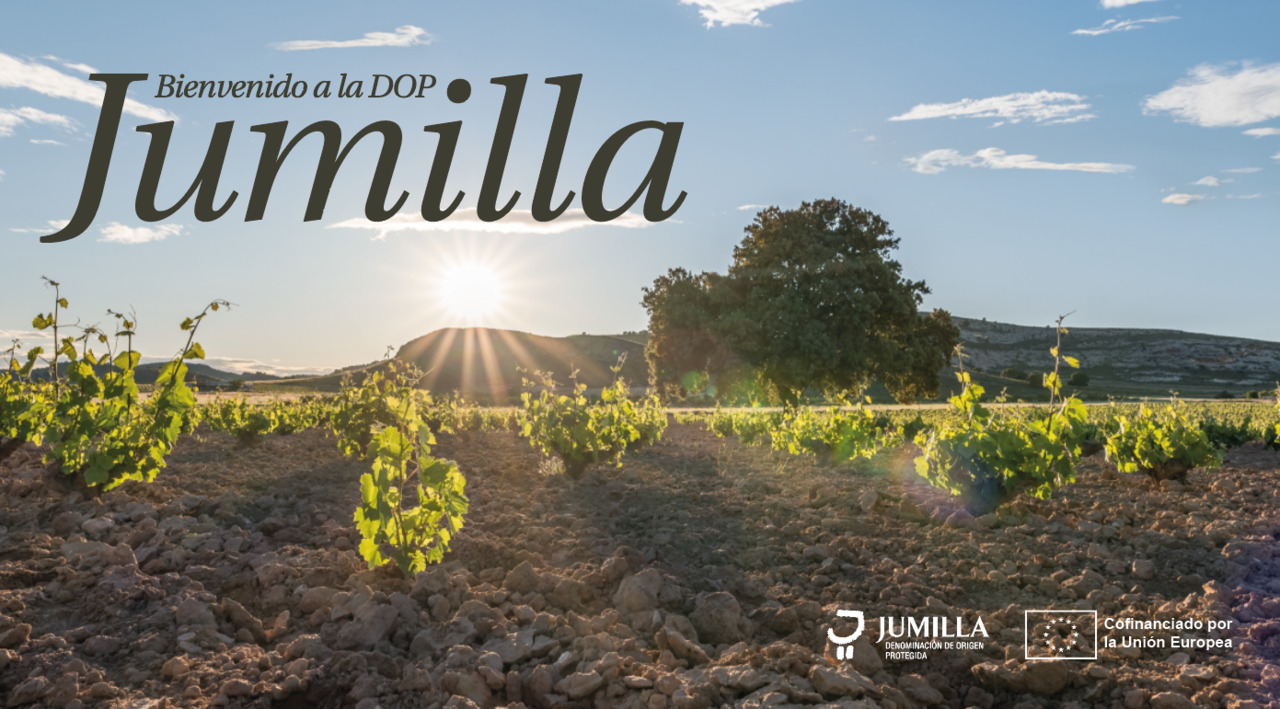 JUMILLA WINE  Image
