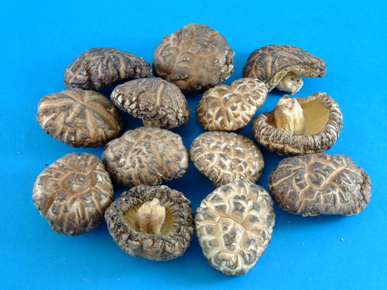 業務用乾しいたけ商品 イメージ