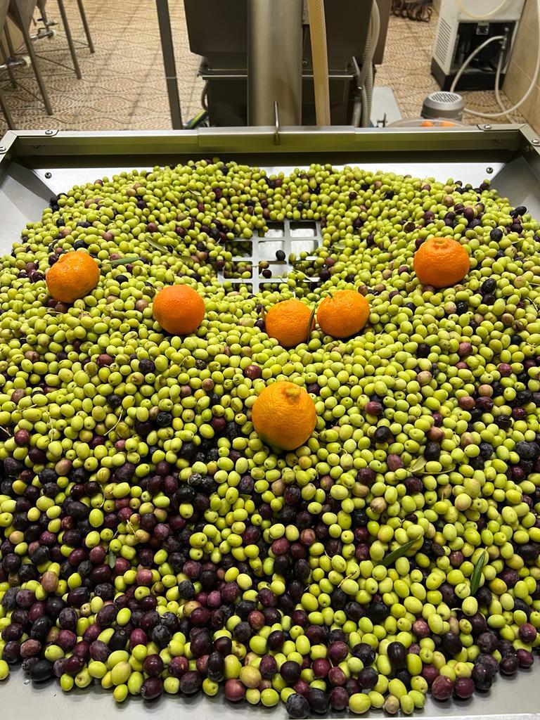 BYRSA オレンジ風味 超高ポリフェノールオリーブオイル イメージ