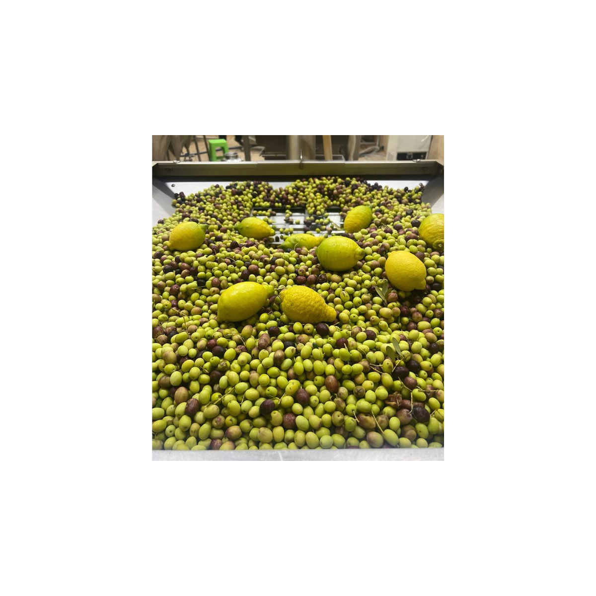 BYRSA Lemon infused Ultra Polyphenols-Rich Olive Oil  Image