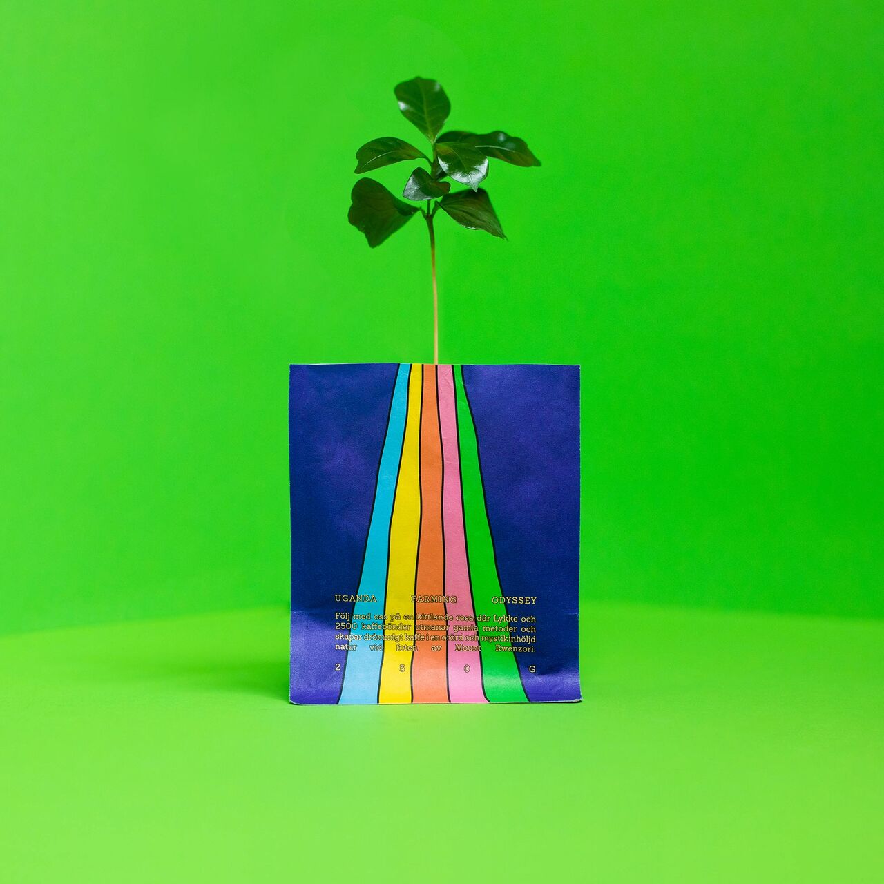 UFO Filter coffee Image