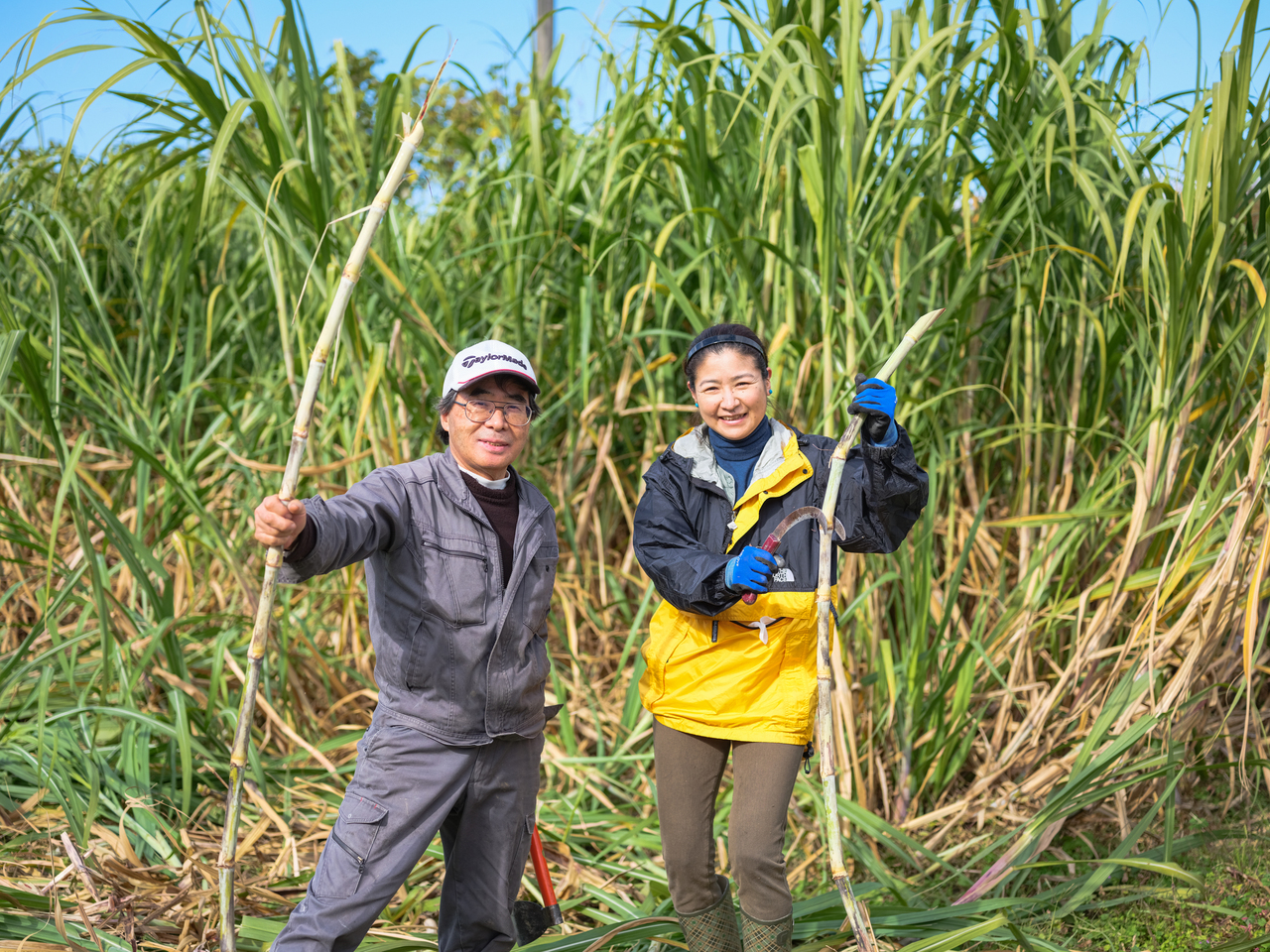 碧原ホワイトラム700ml イメージ