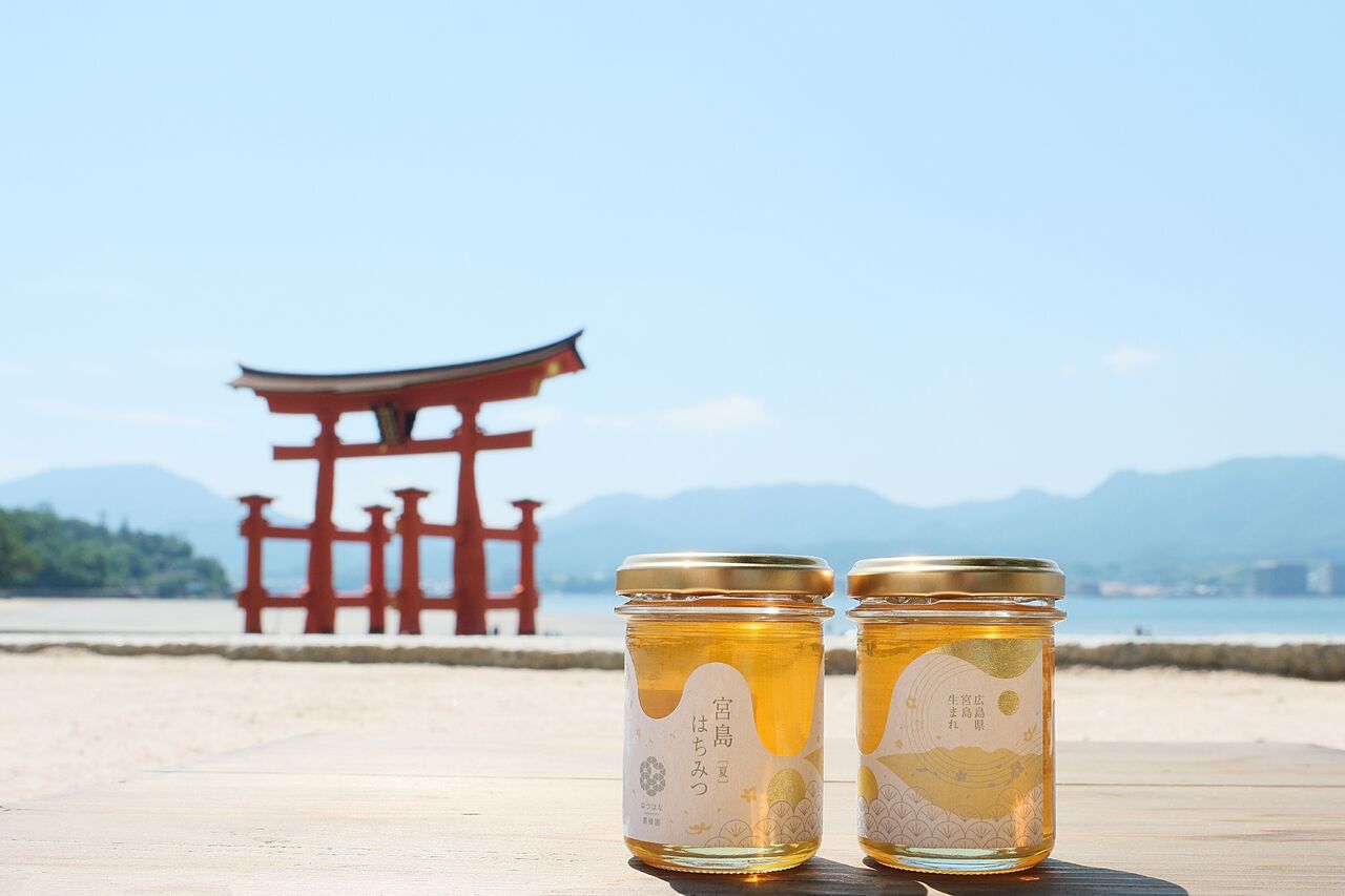 養蜂GAP認証はちみつ イメージ