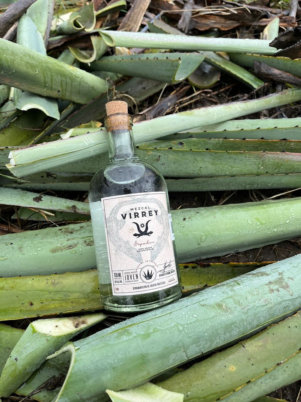 MEZCAL ALACRÁNICO VIRREY Image