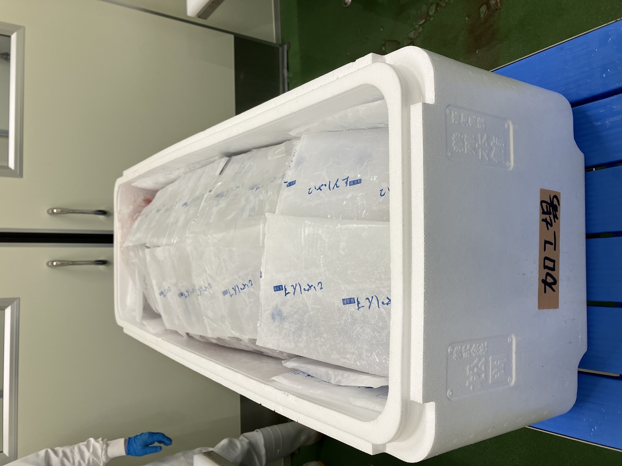 Kochi Prefecture farmed tuna whole fish Image