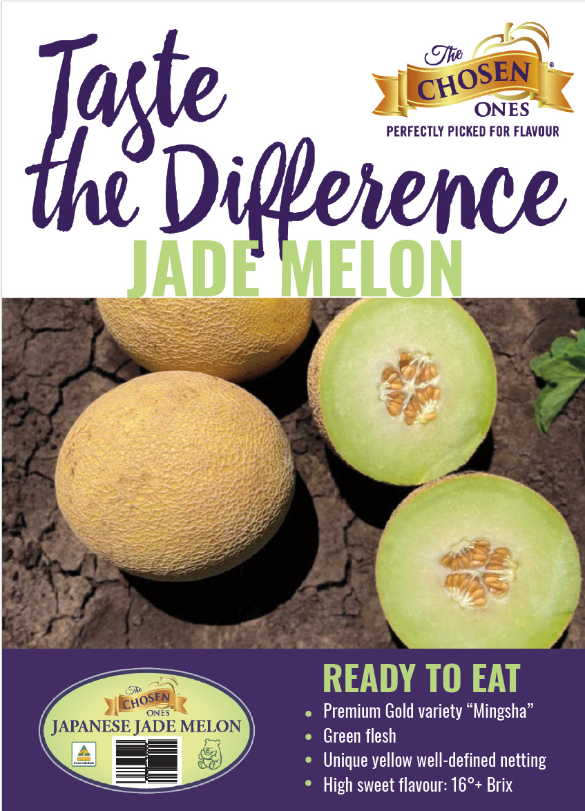 Asian Netted Melons Image