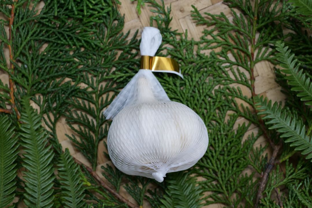 Asagiri Garlic Image