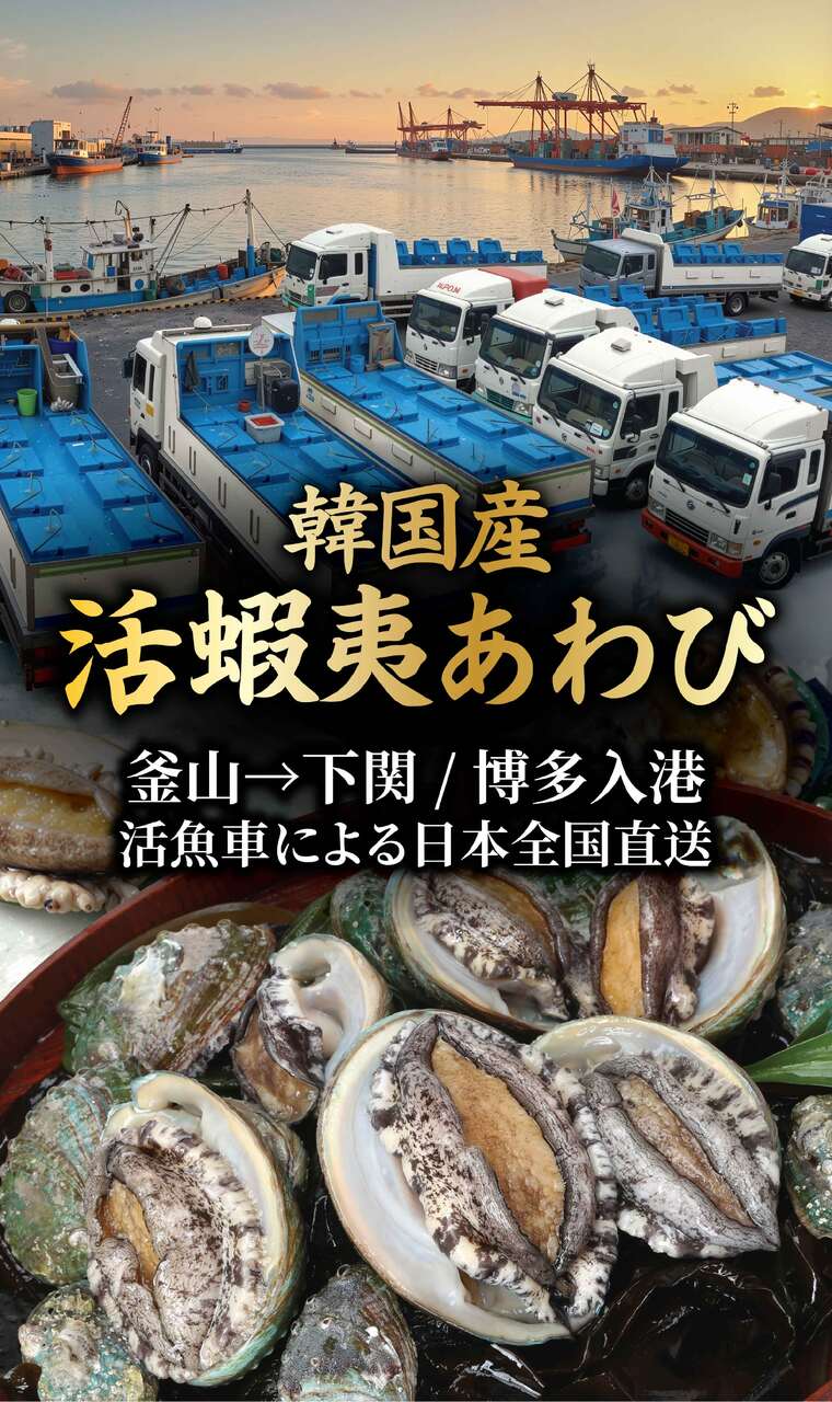 韓国産 活蝦夷あわび イメージ