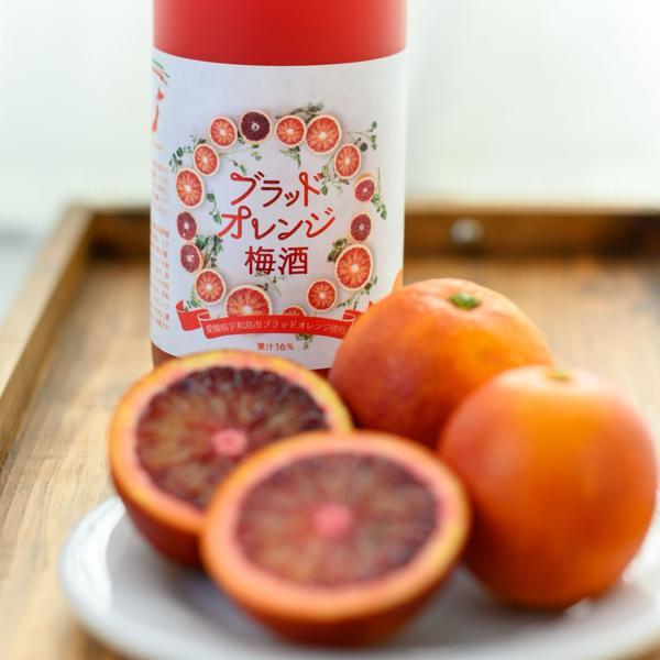ブラッドオレンジ梅酒 イメージ