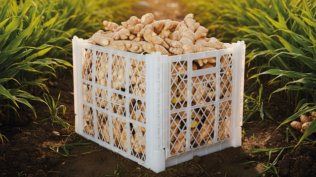 FRESH PRODUCTS  Image