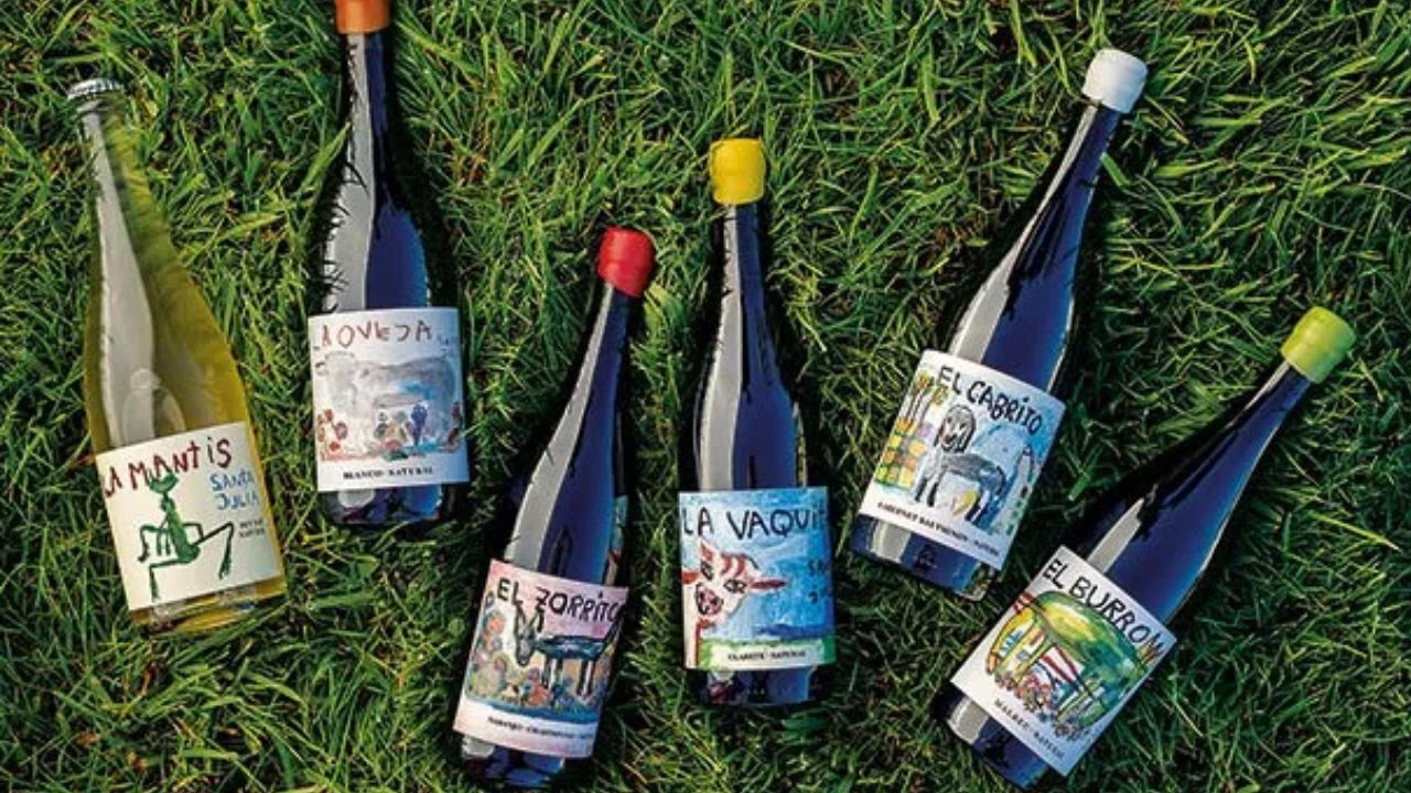 SANTA JULIA El Zorrito  シャルドネ  ナチュール オレンジワイン イメージ