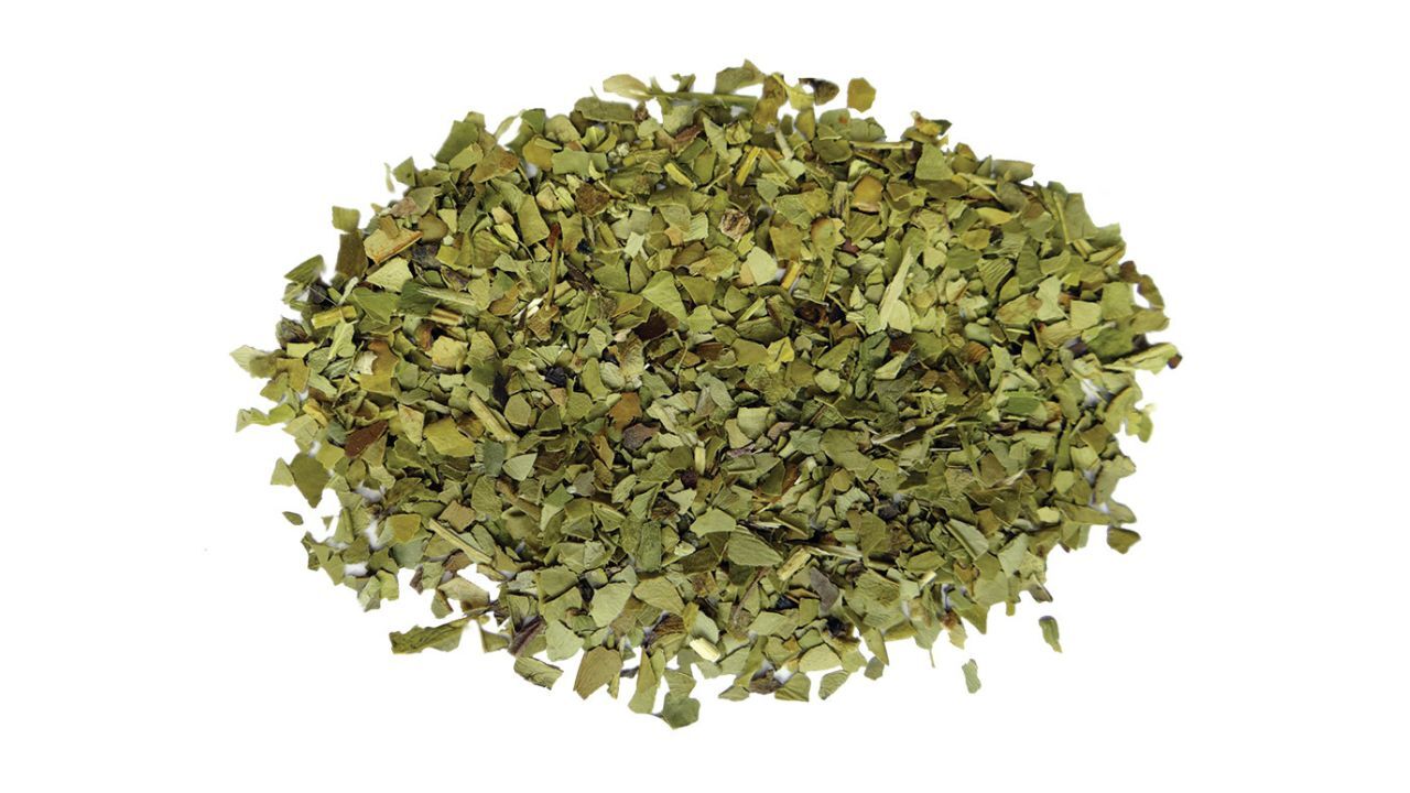 TARAGUI - MATE TEA BAGS マテ茶 ティバッグ 1箱 (20袋入) イメージ