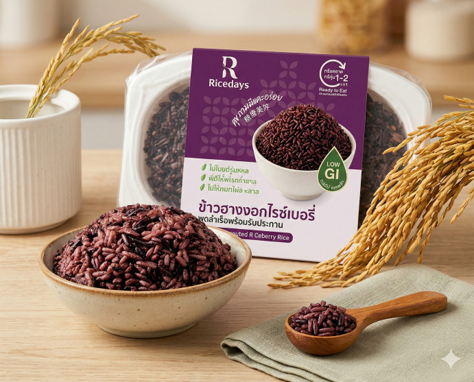 Cooked Germinated Riceberry Rice Image