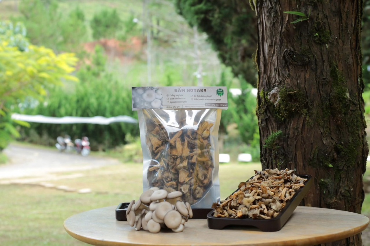 生鮮きのこ、冷凍きのこ、乾燥きのこ、きのこパウダー、きのこスナック イメージ