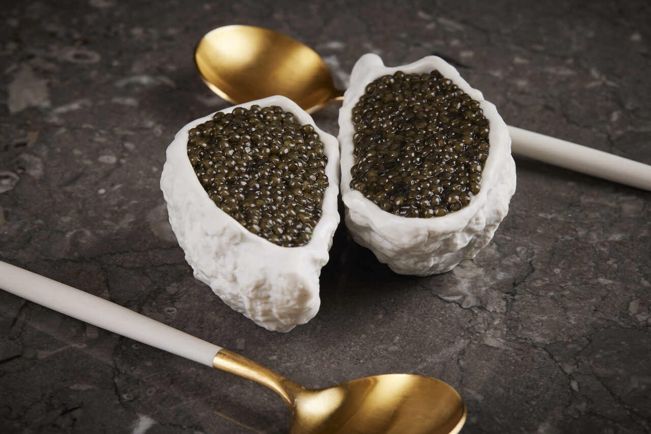 OSETRA Caviar (Acipenser Gueldenstaedtii) Image
