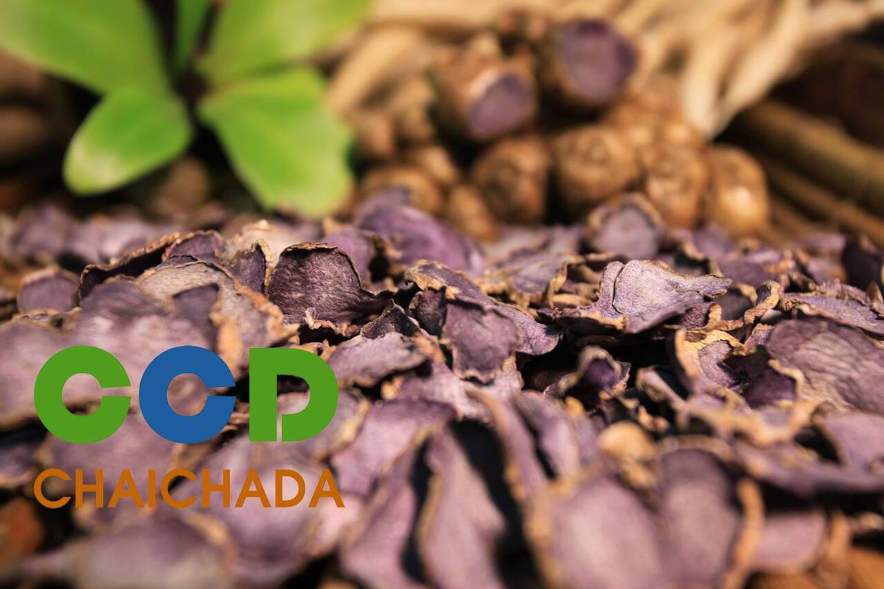 Black Ginger (Kaempferia parviflora) Image