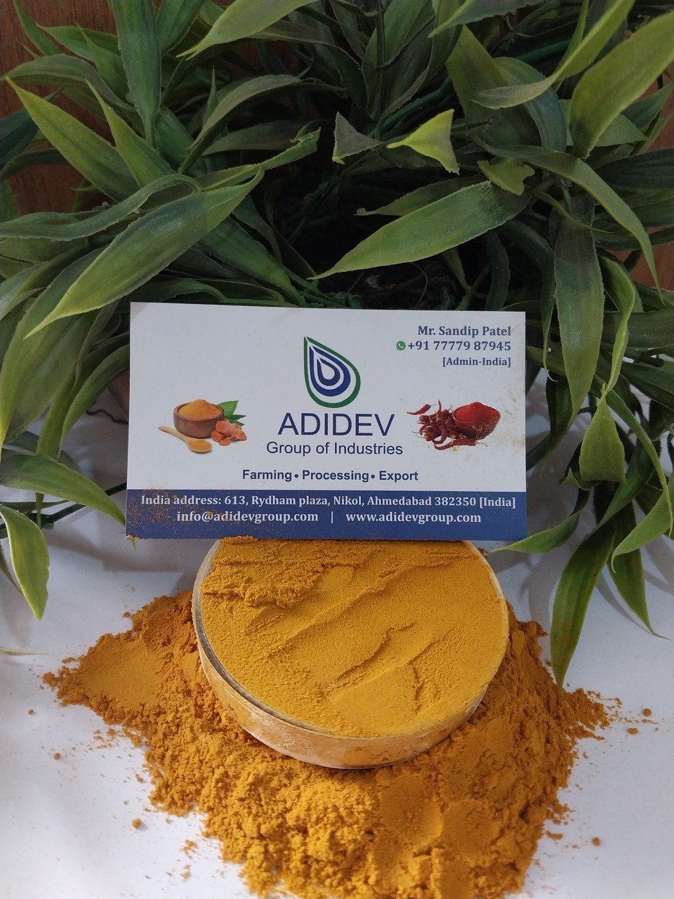 Organic Turmeric Powder (Curcuma longa) – Premium Indian Origin Image