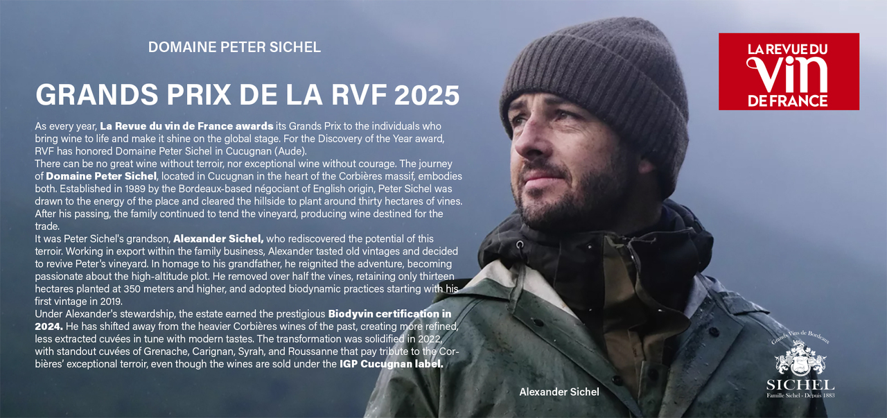 OCHA お茶 イメージ