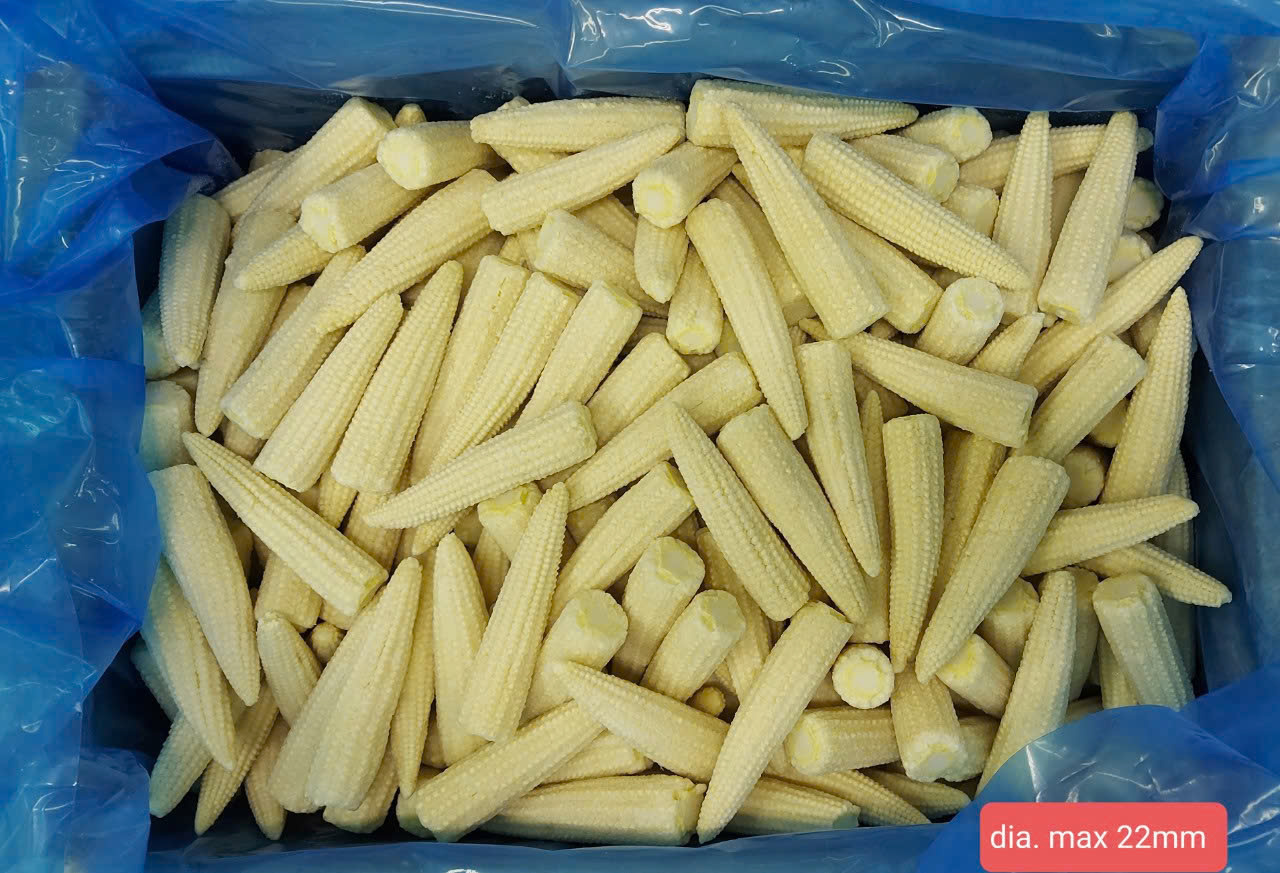 Baby corn Image