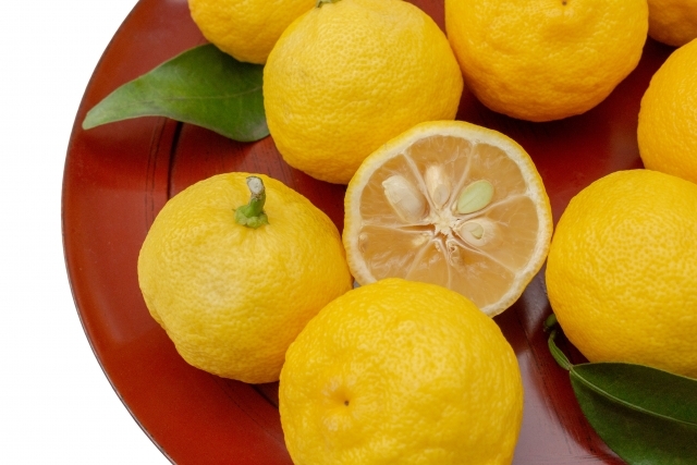 Ponzu soy sauce  YUZU Image