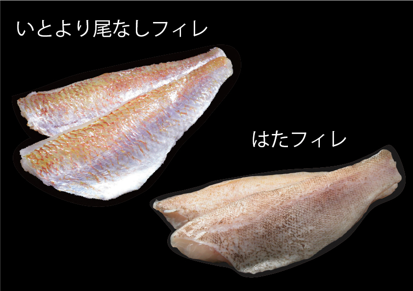 魚フィレ(白あまだいフィレ、ひめじフィレ、いとより尾なしフィレ、はたフィレ、かわはぎフィレ、えびすだいフィレ、舌平目スキンレスフィレ（２枚合わせ）、舌平目ポーション イメージ