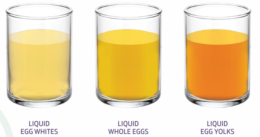 Egg Yolk Powder HS, Egg White Powder HG, Whole Egg Powder Liquid Eggs, Egg Yolk Liquid with 20% sugar, Egg Yolk Liquid with 10% salt Image