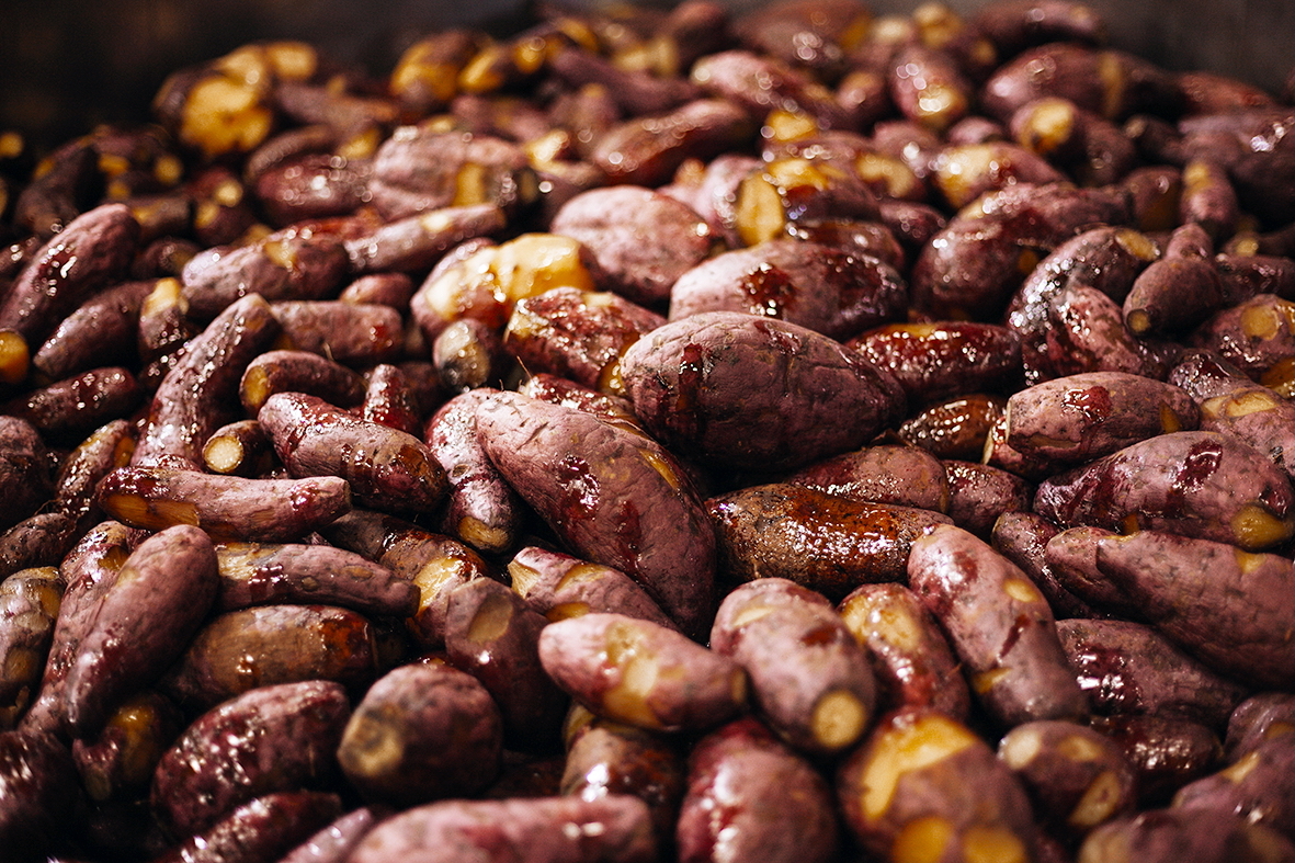 五島芋40 化粧箱入 イメージ