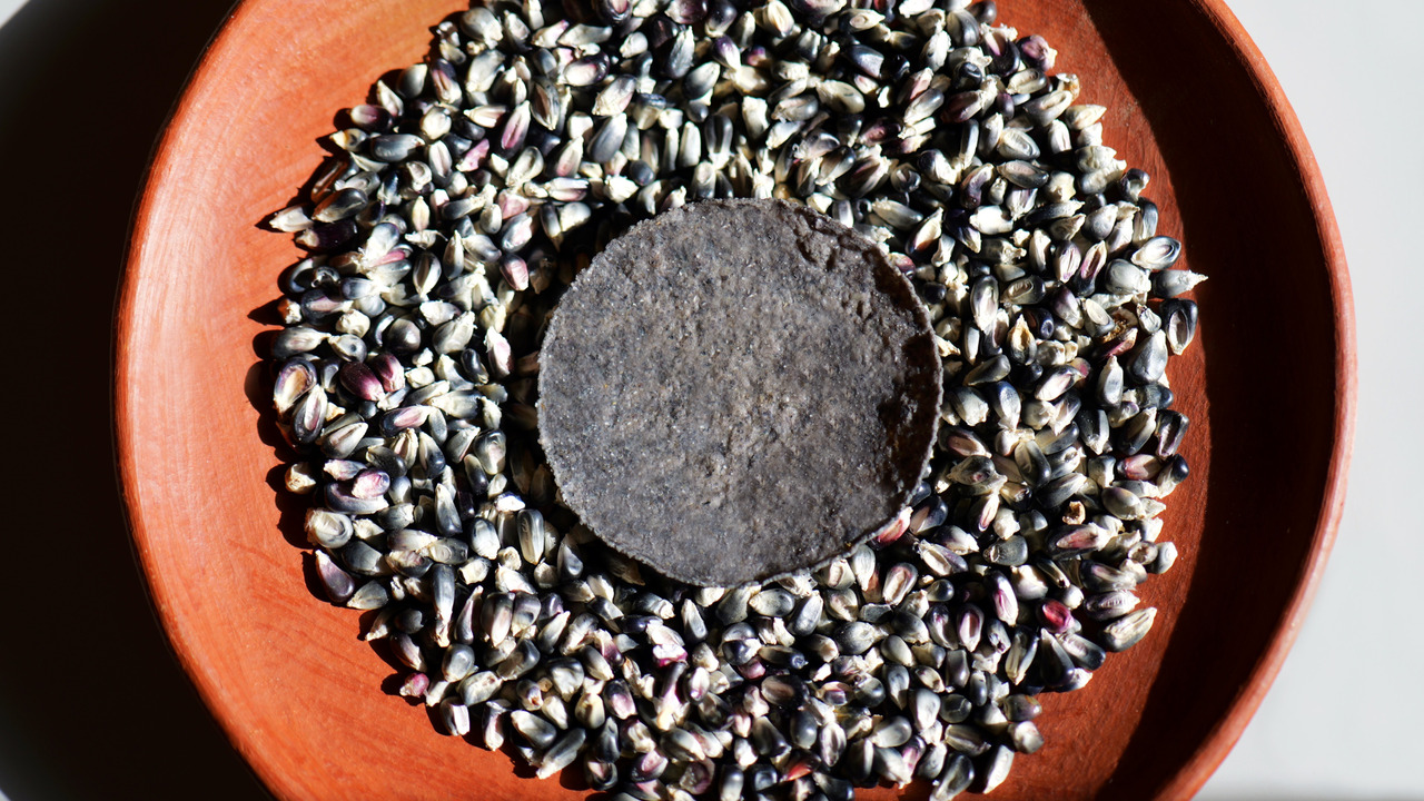 Blue corn tortillas Image