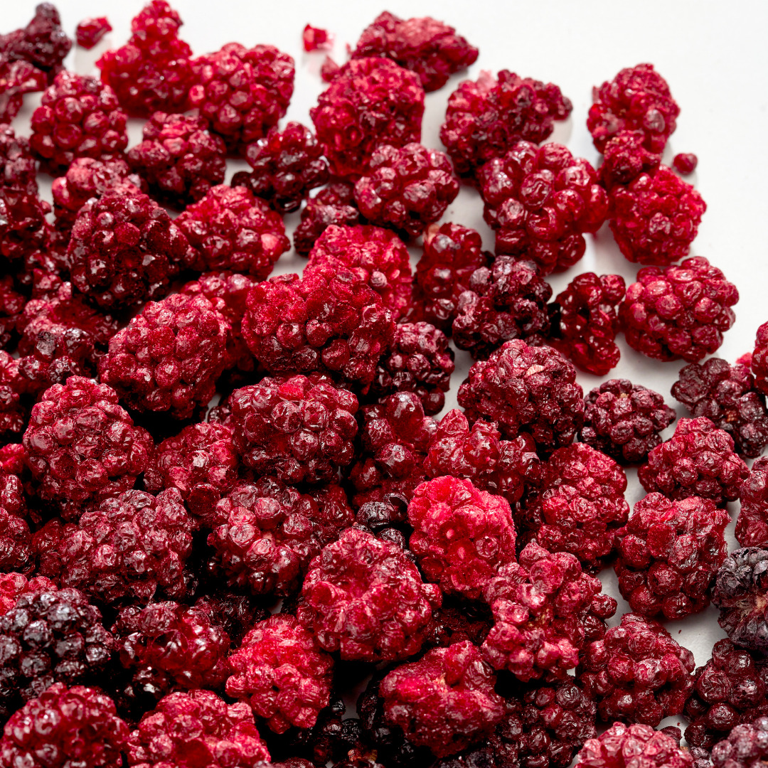 Freeze Dried Blackberry Image