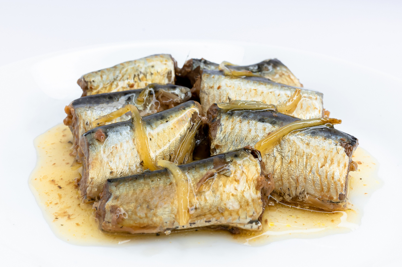 Canned iwashi(Sardine) Image