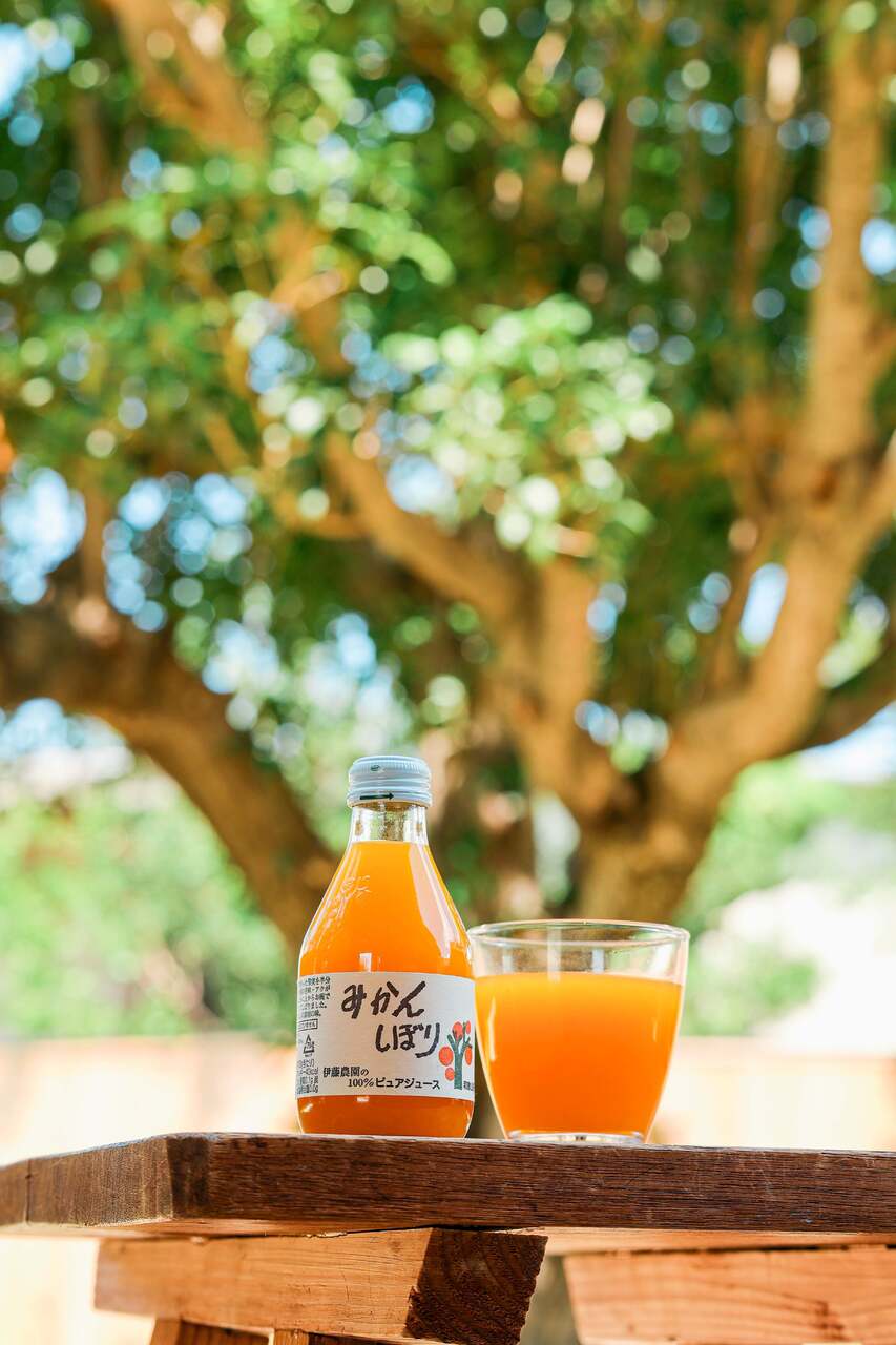 100% Pure Mandarin Orange Juice (180ml) Image