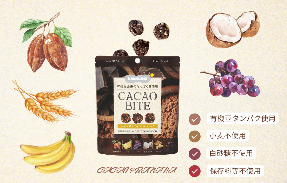CACAO BITE カカオと植物プロテインのクランチ  イメージ