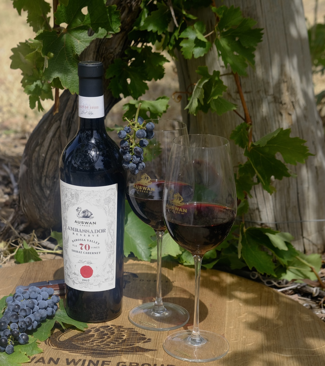  Diplomat 70 Barossa Valley Shiraz Image