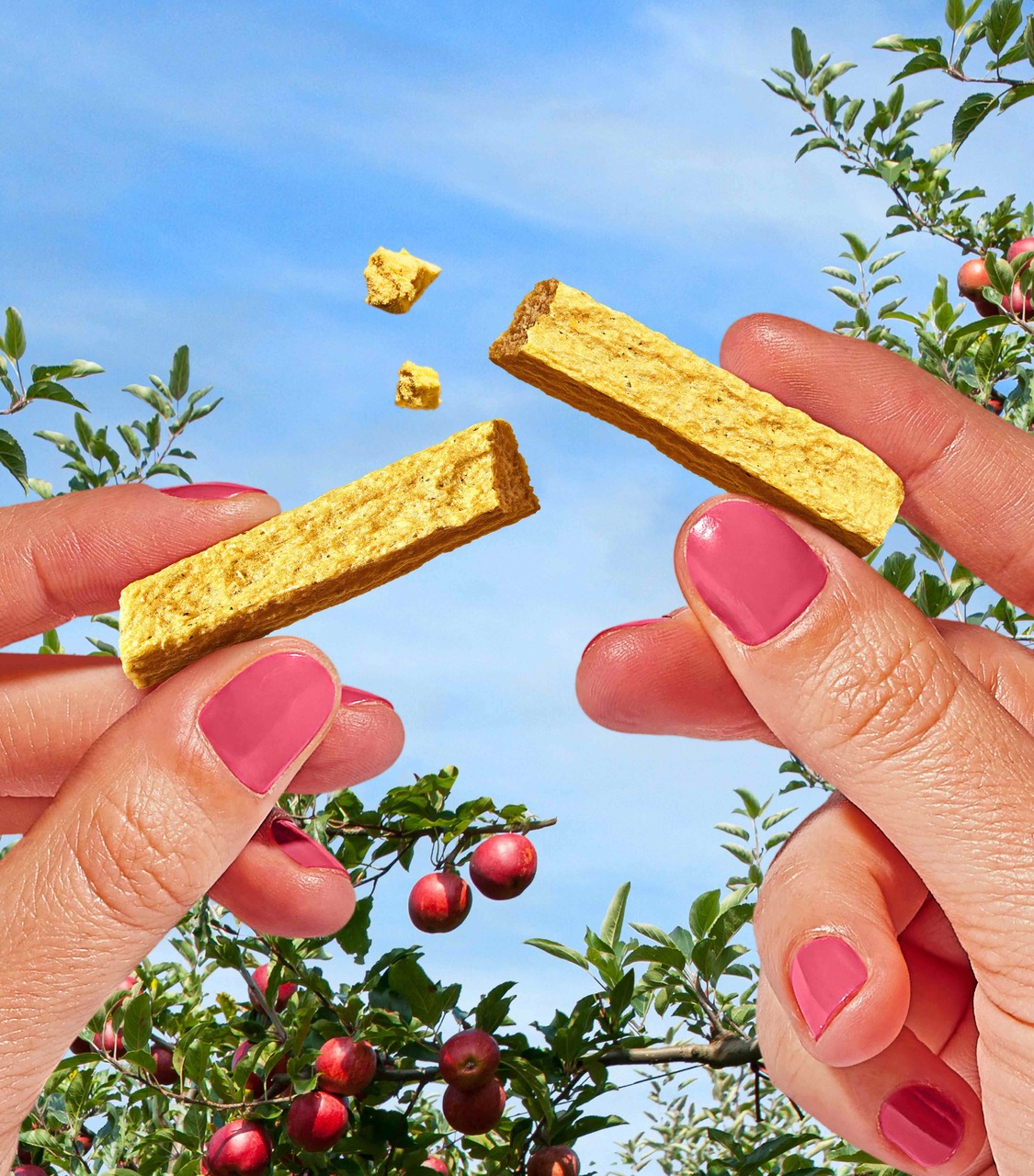 Super Snaps - Pineapple Image